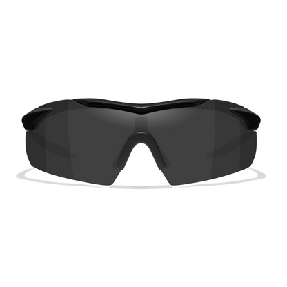 Wiley X Vapor Goggles (2 lenses)